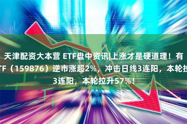 天津配资大本营 ETF盘中资讯|上涨才是硬道理！有色龙头ETF（159876）逆市涨超2%，冲击日线3连阳，本轮拉升57%！