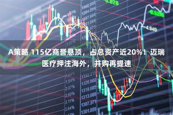 A策略 115亿商誉悬顶，占总资产近20%！迈瑞医疗押注海外，并购再提速
