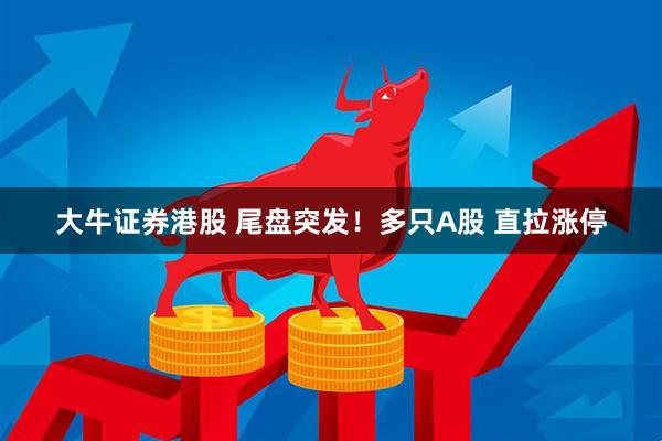 大牛证券港股 尾盘突发！多只A股 直拉涨停