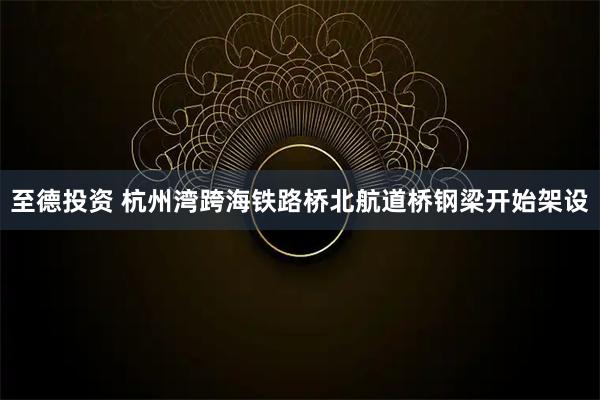至德投资 杭州湾跨海铁路桥北航道桥钢梁开始架设