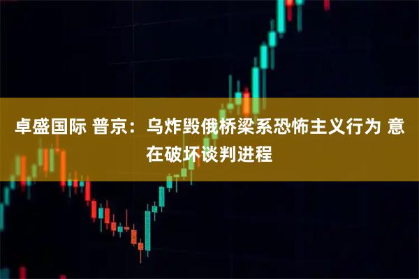 卓盛国际 普京：乌炸毁俄桥梁系恐怖主义行为 意在破坏谈判进程
